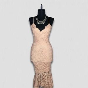 NWOT Windsor Chantilly Bodycon Dress Lace Mermaid Hem Blush Pink sz L